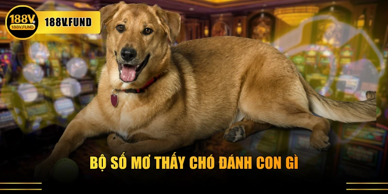 Bộ số mơ thấy chó đánh con gì