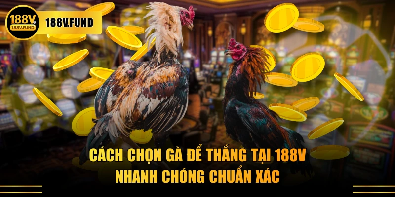 Cách chọn gà để thắng tại 188V nhanh chóng chuẩn xác